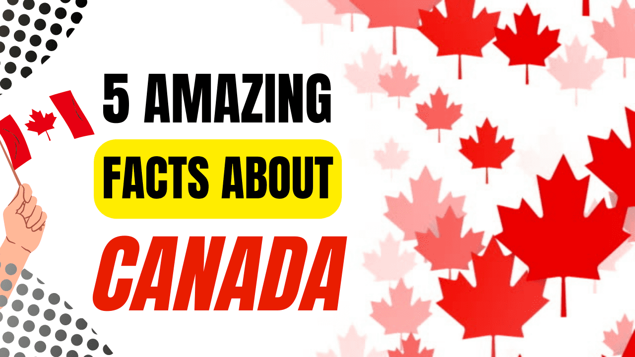 Read more about the article Canada : 5 Amazing Facts About Canada