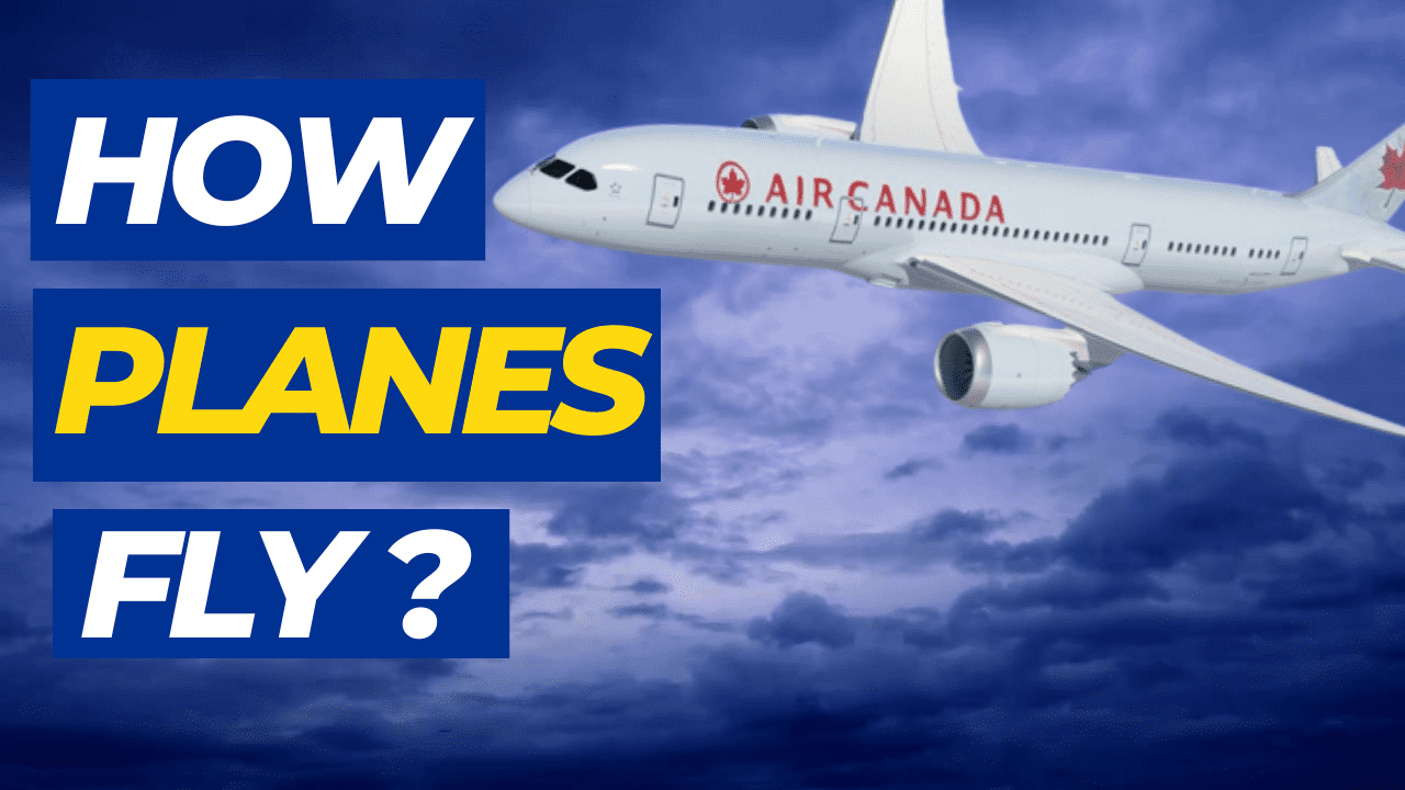 Read more about the article How Airplanes Fly?: Some Important Facts about Airplanes