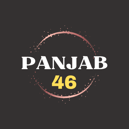 Panjab46 Logo Home Page