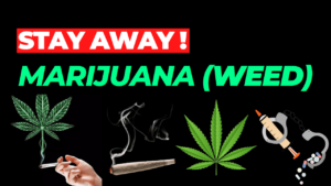 Read more about the article How Marijuana (Weed) Affects Our Life – Be  Aware